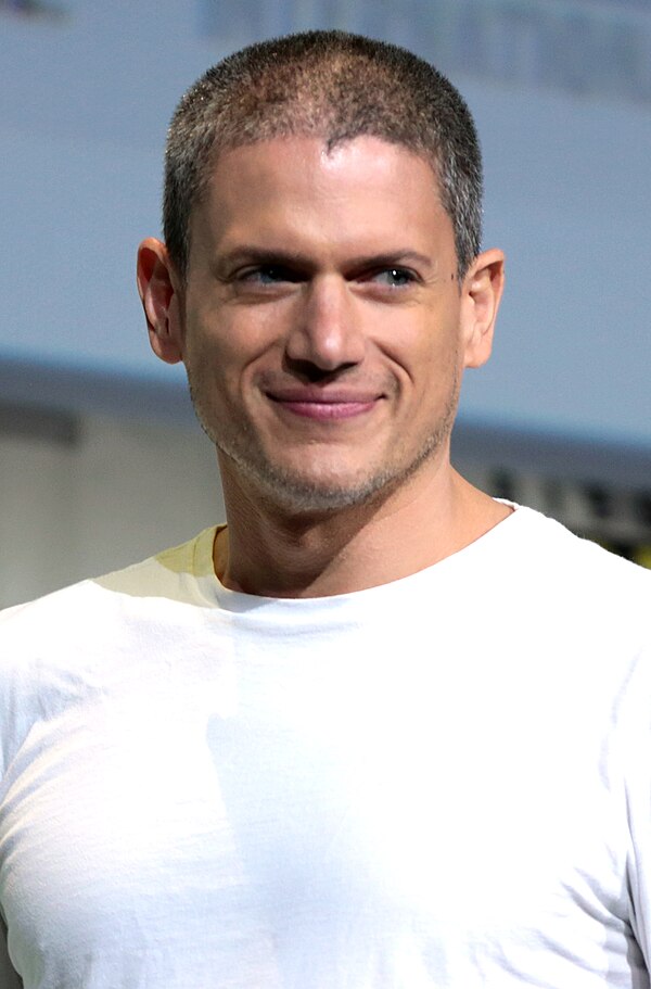 Is Wentworth Miller Gay? Wentworth Miller's Gay Identity Explained